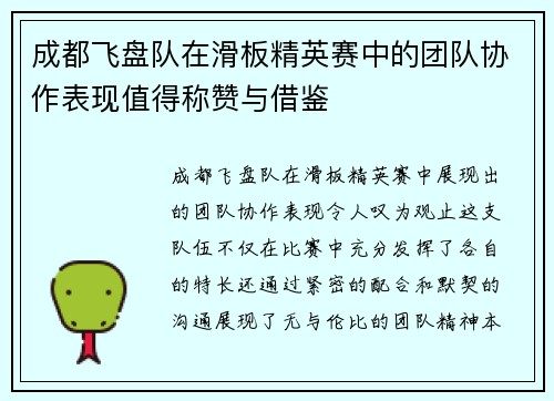 成都飞盘队在滑板精英赛中的团队协作表现值得称赞与借鉴