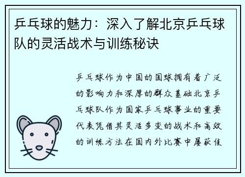 乒乓球的魅力：深入了解北京乒乓球队的灵活战术与训练秘诀