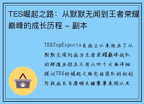 TES崛起之路：从默默无闻到王者荣耀巅峰的成长历程 - 副本